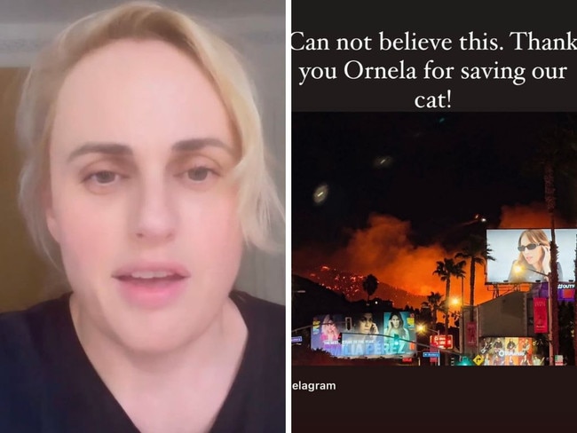 Rebel Wilson has revealed her cat had to be rescued from the devastating fires in LA.