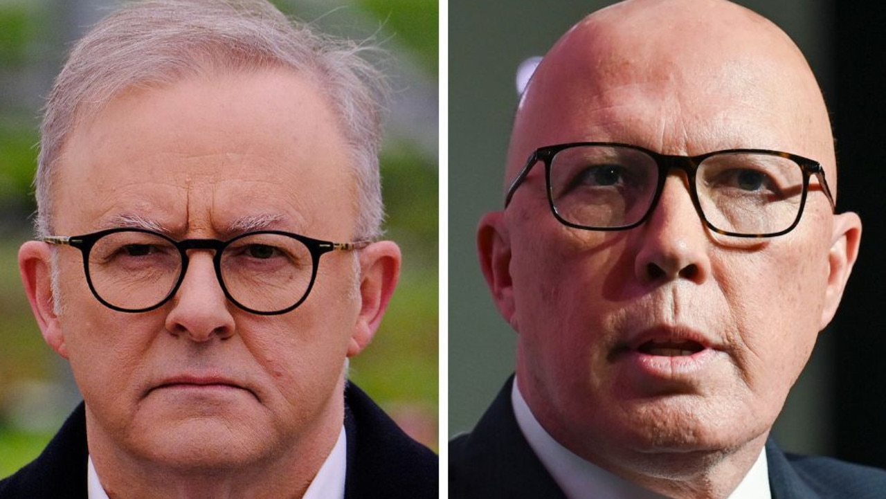 Support for Albo, Dutton plunges