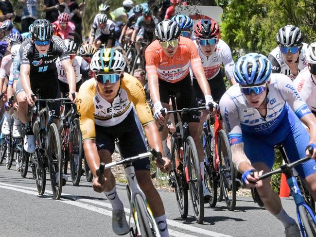 Australian rider Jay Vine from UAE Team Emirates (C) rides in the peloton during stage five of the Tour Down Under UCI cycling event in Adelaide on January 22, 2023. (Photo by Brenton EDWARDS / AFP) / -- IMAGE RESTRICTED TO EDITORIAL USE - STRICTLY NO COMMERCIAL USE --