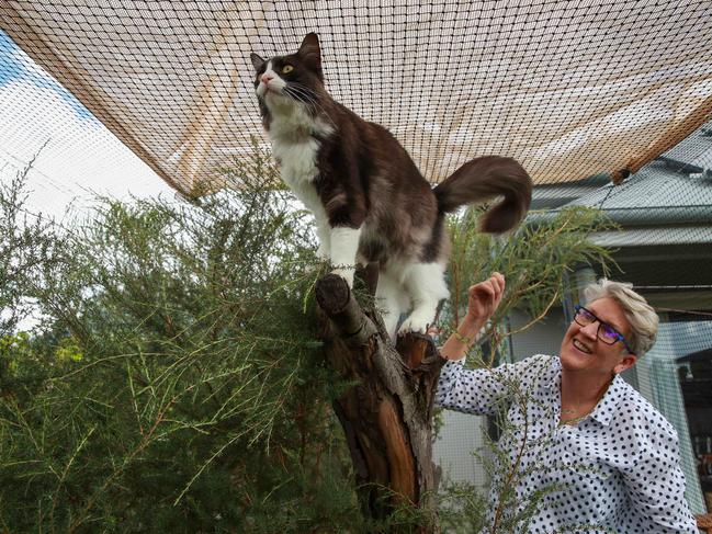 Mary Balch with Rupert in her cat enclosure at home, in Marrickville, today. (CATIO story)Picture:Justin Lloyd