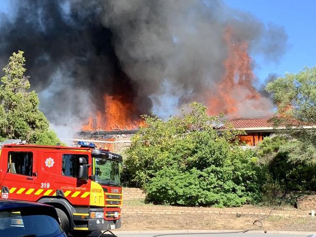 Birds killed as home destroyed by fire