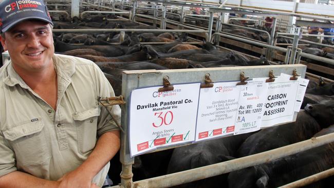Rodda Manning, Davilak Pastoral Co at Mansfield, with his line of carbon assessed Angus steers at Wangaratta calf sale on Wednesday. Picture: Jenny Kelly