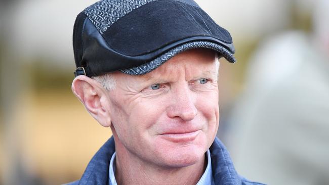 Trainer Phillip Stokes has big plans for Instant Celebrity. Picture: AAP