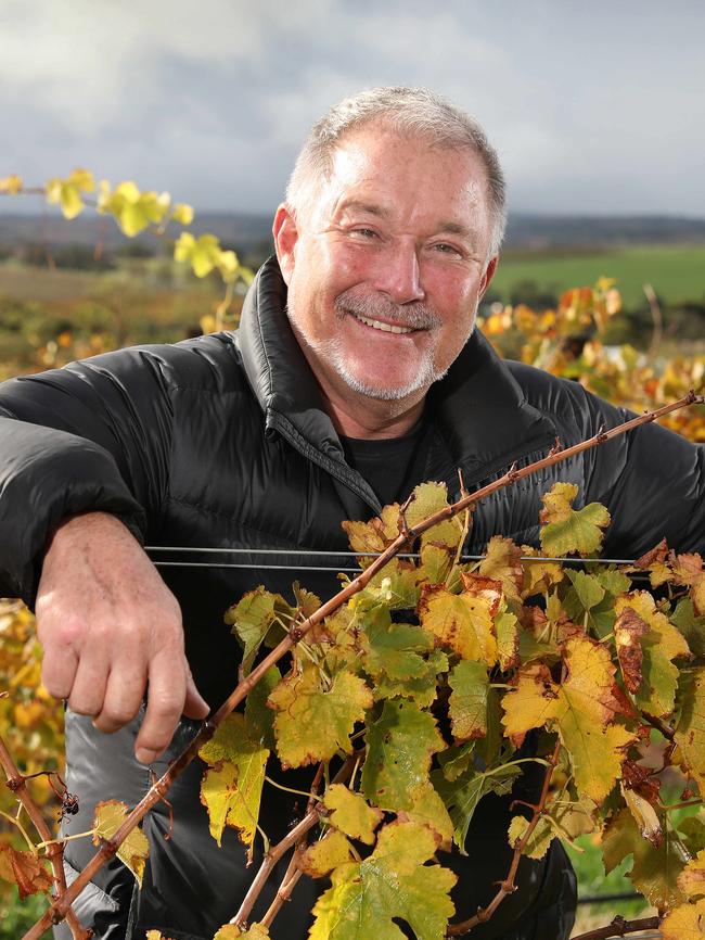 Warren Randall in one of his McLaren Vale vineyards. Picture Dean Martin