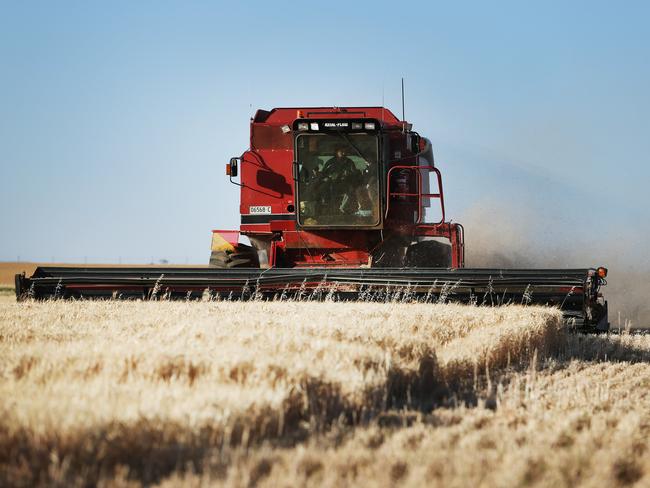 Pictured, Floyd Legge harvests the barley crop for the brewery. Pete Gerber who runs Pioneer Brewing Co, Independent Farm-based Brewery in Central West NSW. 33kms from Orange, 7kms from Cudal, 8kms from Cargo. Picture Rohan Kelly.
