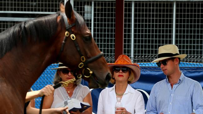 Gai Waterhouse looks over a yearling at the Magic Millions complex at Bundall. Picture: David Clark