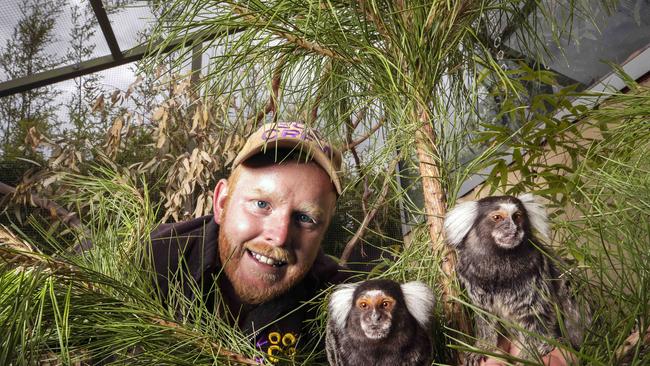 Zoodoo Zoo is after donations of still-alive Christmas trees to use at the park, exotic animal leader Sean Cooke with Common Marmosets. Picture: CHRIS KIDD