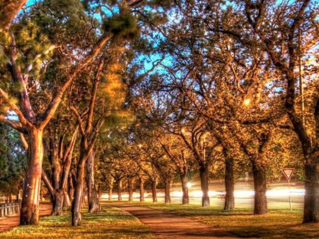 Get grit in your shoes walking the dirt track to the left, or take the asphalt trail. Picture: Cathleen Lum Lum/Instagram