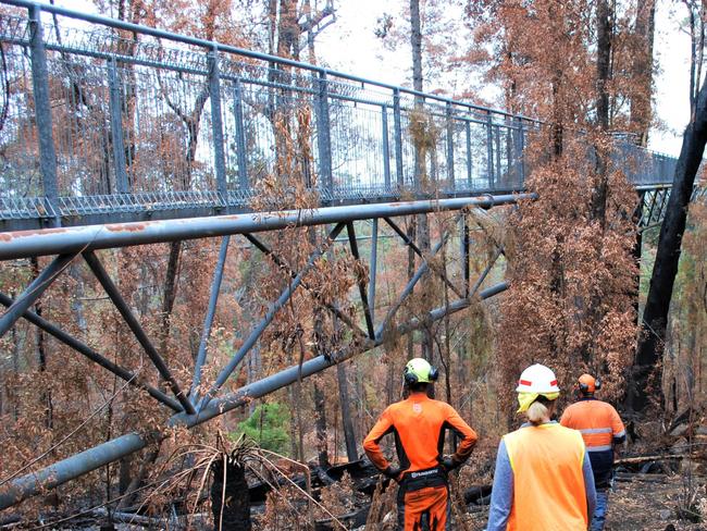 The Tahune Airwalk in the aftermath of the Riveaux Road bushfire. Picture: SUSTAINABLE TIMBER TASMANIA