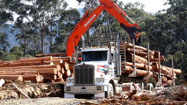 The state’s forest industry wants the Government to fund a road upgrade for the transport of logs.