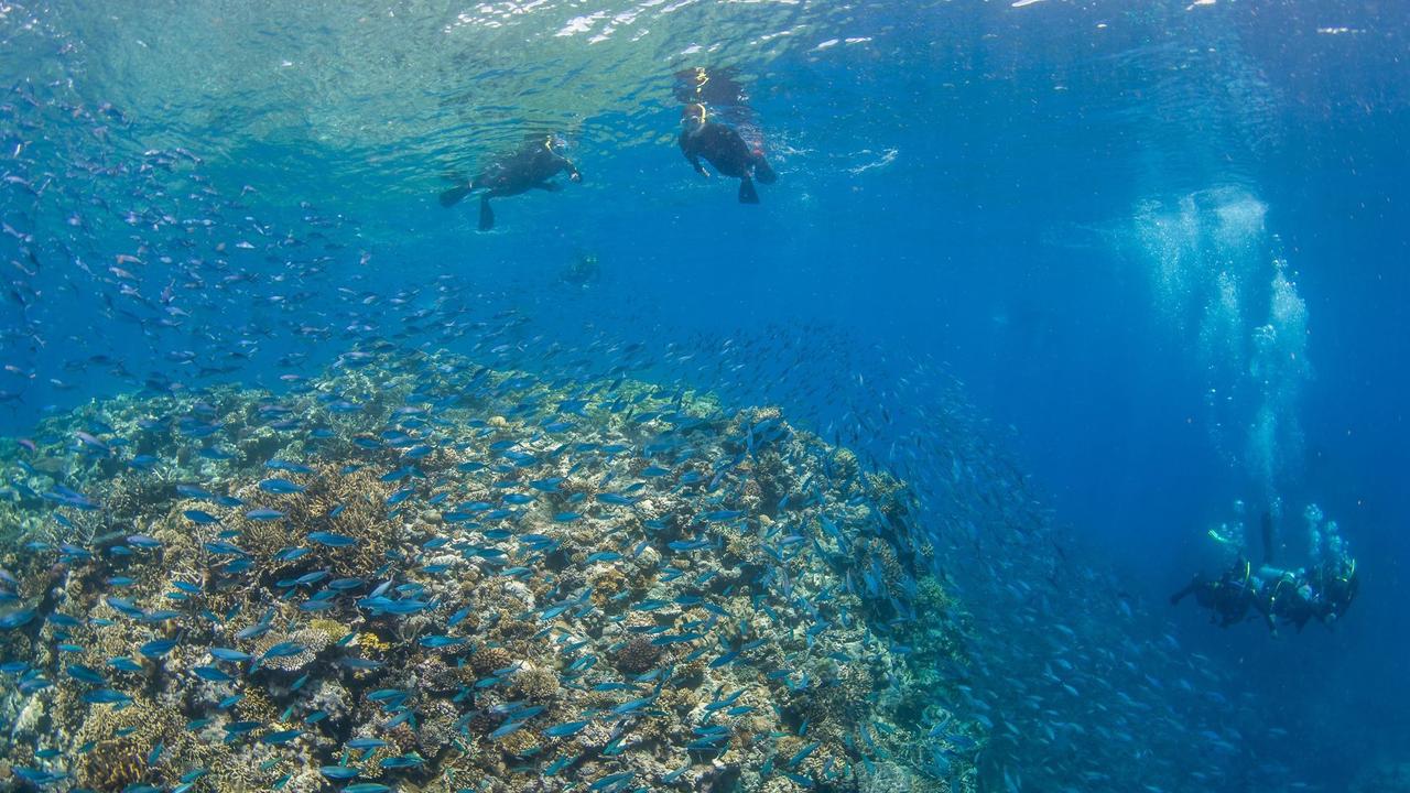 Photos of the Great Barrier Reef taken Monday 9th January by Passions of Paradise. Photo: Sota Yamaguchi