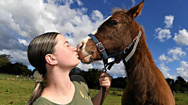 SMOOCH: Forest Glen Horse Rescue volunteer Kylah Nunn with three month old horse, Soraya. Picture: Warren Lynam