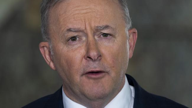 Anthony Albanese in Canberra on Tuesday. Picture: Martin Ollman