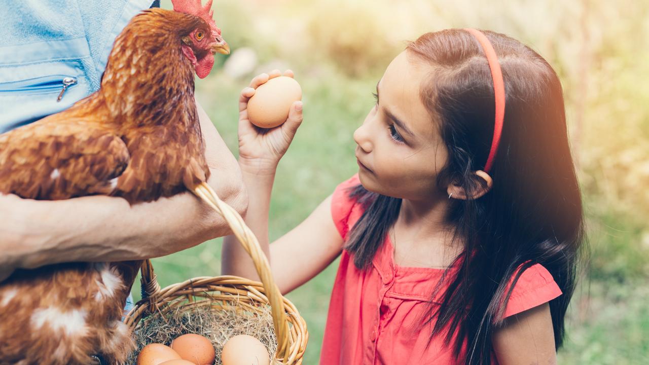Eggs are one of the foods that help to keep us healthy and strong. Picture: iStock