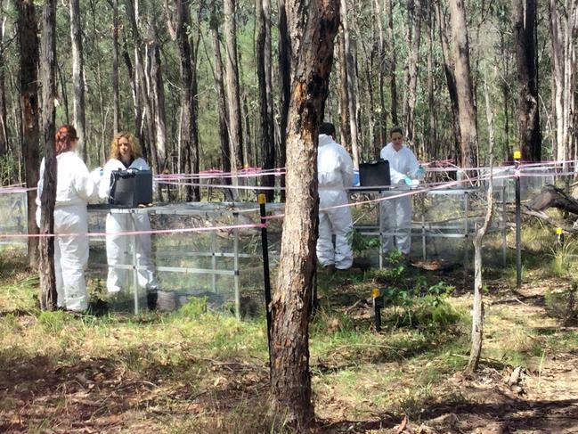 Researchers say AFTER is much more tranquil than outsiders imagine, the forest setting is peaceful and donors are held in the deepest respect. Picture: Anna Zhu