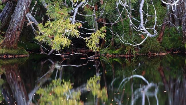 Beautifully Twisted at Twisted Lakes, Cradle Mountain. Picture: David Murphy