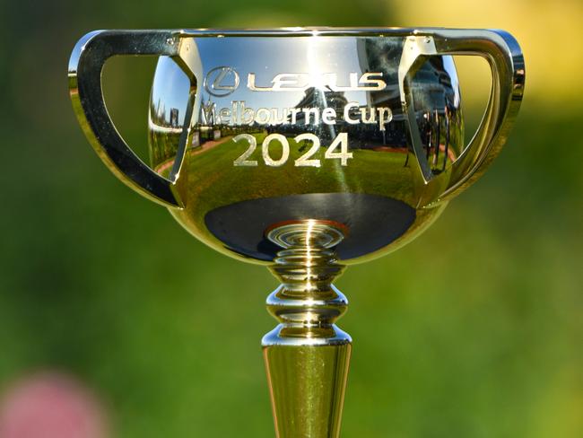 MELBOURNE, AUSTRALIA - MAY 18: The 2024 Melbourne Cup is seen during Andrew Ramsden Race Day at Flemington Racecourse on May 18, 2024 in Melbourne, Australia. (Photo by Vince Caligiuri/Getty Images)