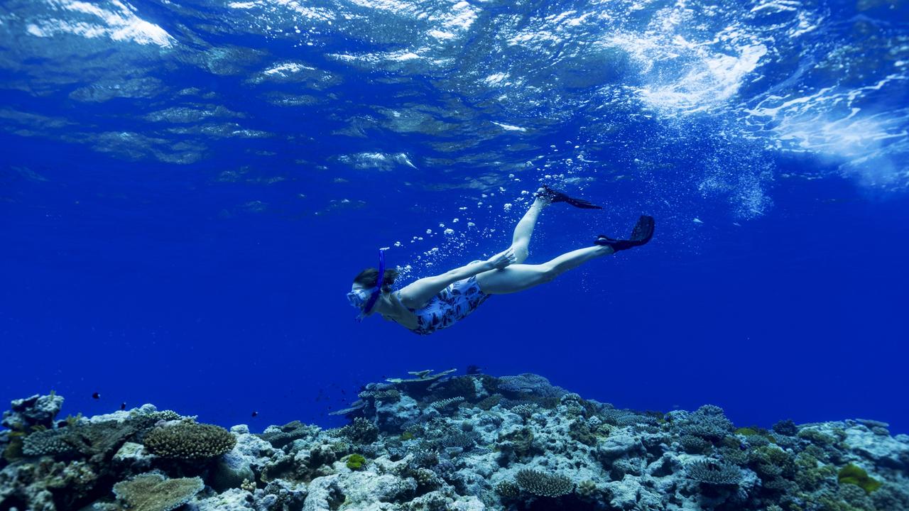 A snorkeller swims on the Great Barrier Reef on a day tour from Cairns with Passions of Paradise. Picture: Tourism and Events Queensland