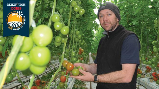 Fresh approach: Jon Murphy inspects tomatoes in a glasshouse at Murphy Fresh near Mansfield. Picture: James Wagstaff