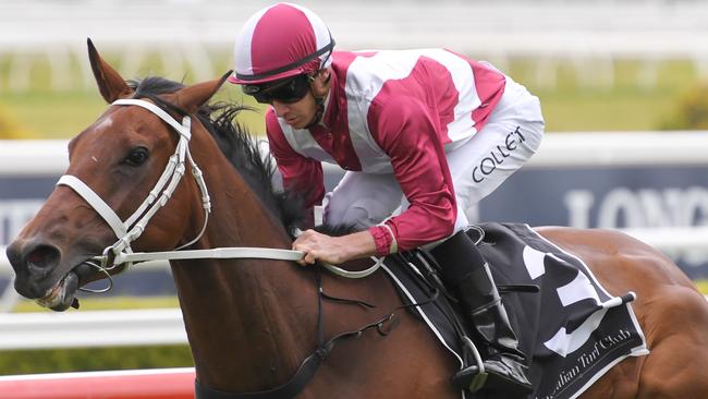 Arcadia Queen has plenty of admirers in The Everest. Picture: AAP