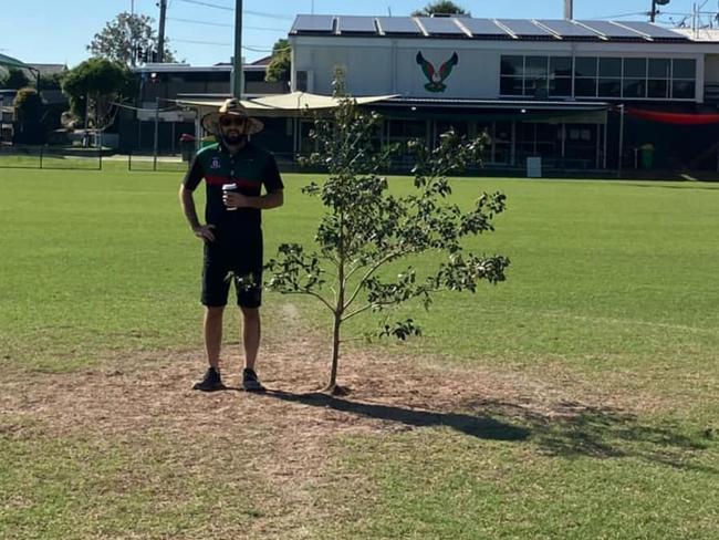 Sandgate Hawks find tree planted in middle of field