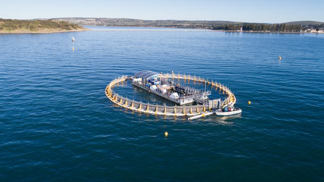 Oceanic Victor with the Granite Island causeway in the background. Picture: South Australian Tourism Commission