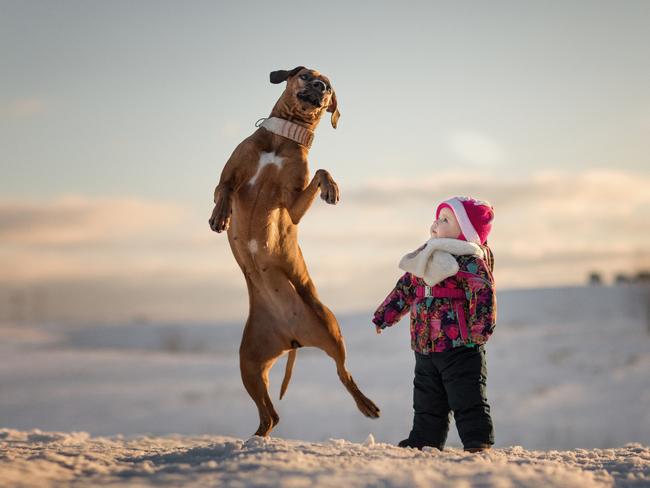 Dance party ... Ksenia, Dasha and Jay the Rhodesian Ridgeback. Picture: Little Kids and Their Big Dogs