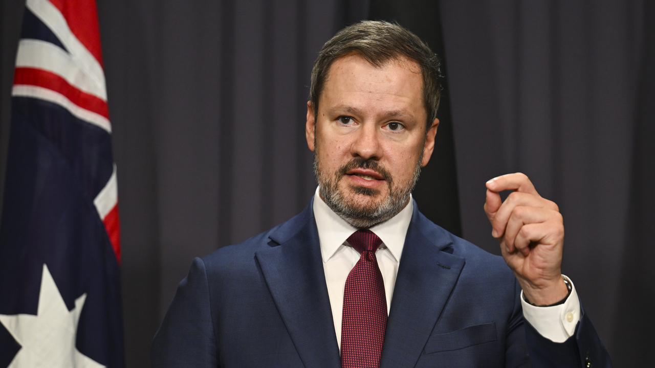 ‘Assassins’ and ‘timidity’: ousted Husic takes aim at PM and Marles