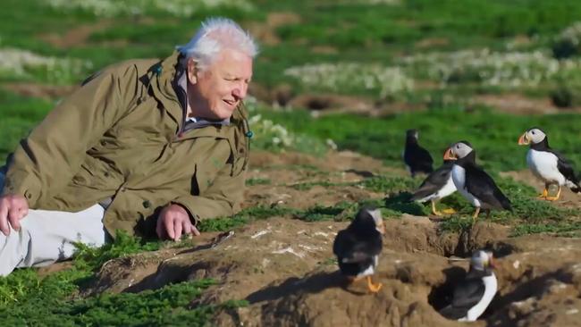 David Attenborough from his new show Wild Isles Picture: BBC