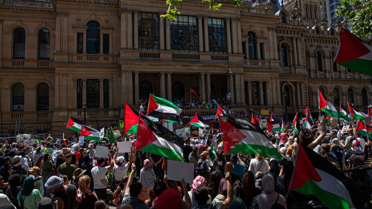 Pro-Palestine protesters spreading their 'venom' able to get away with 'racial vilification'