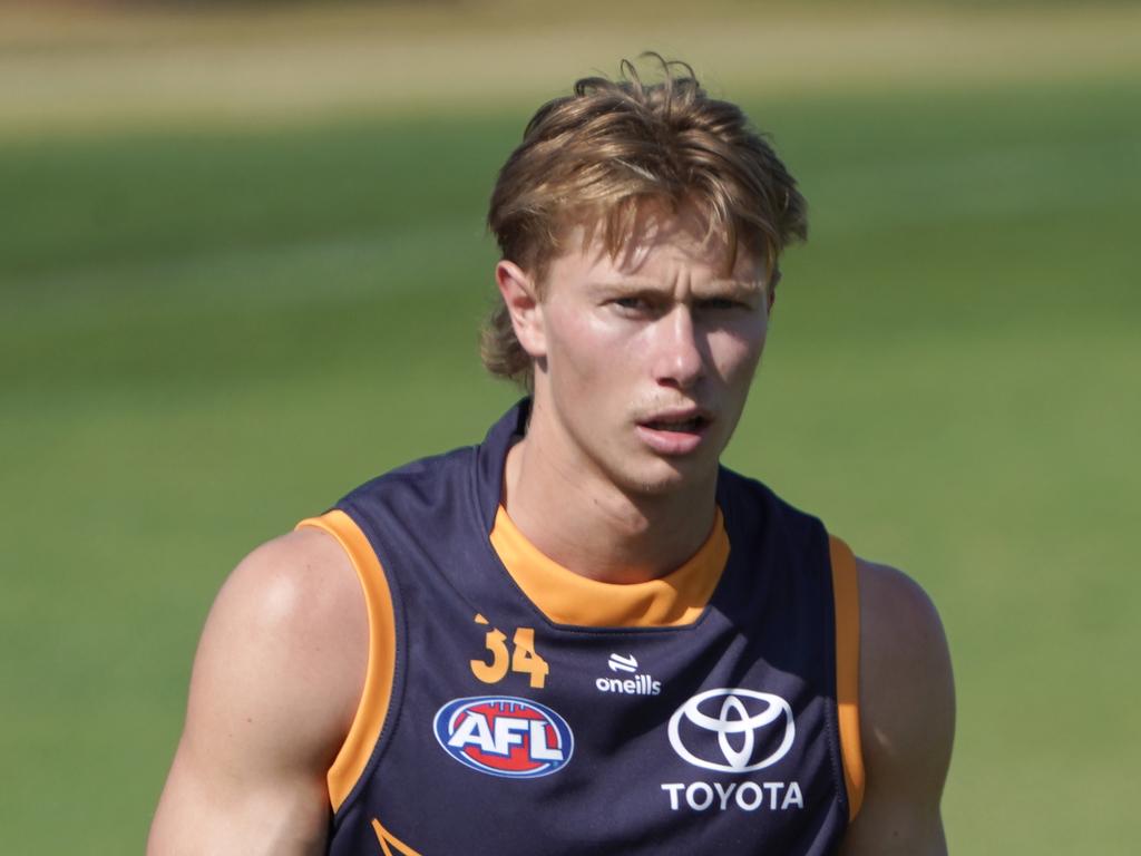 Mark Ricciuto thinks Sid Draper can add to the Crows midfield in his debut season.