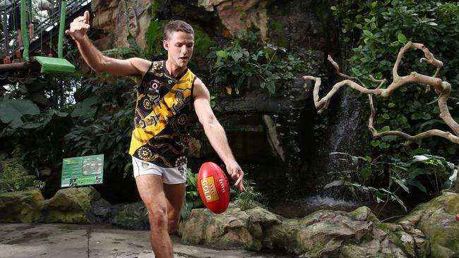 <s1>REBOOT: Norths Tigers' Anthony Stewart helps AFL Cairns relaunch its 2020 season at the Cairns Zoom and Wildlife Dome </s1> <ld pattern=" "/> <source>Picture: BRENDAN RADKE.</source>