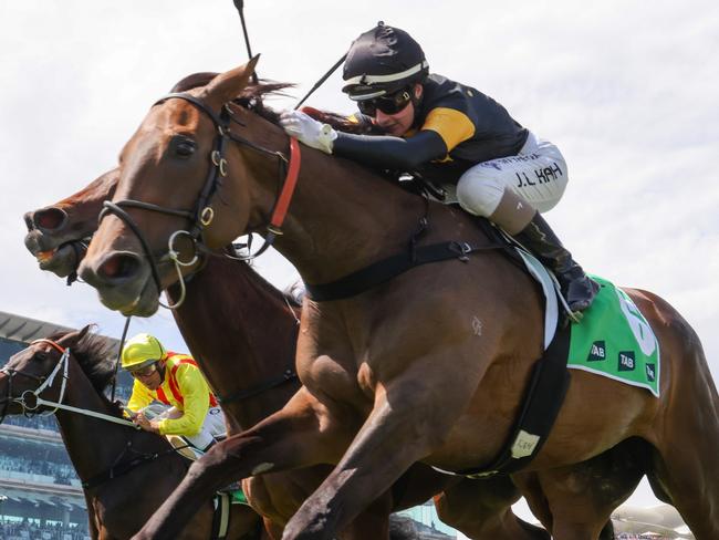 Deny Knowledge (IRE) ridden by Jamie Kah wins the TAB Matriarch Stakes at Flemington Racecourse on November 11, 2023 in Flemington, Australia. (Photo by George Sal/Racing Photos via Getty Images)