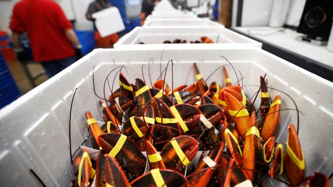 Beijing has imposed a number of significant tariffs on Australian exports over the past 18 months including on beef, barley, wine and lobsters. Picture: AP Images