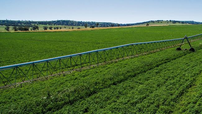 Brindley Park is a key part of our beef supply chain located in NSW’s Upper Hunter on the Merriwa River.