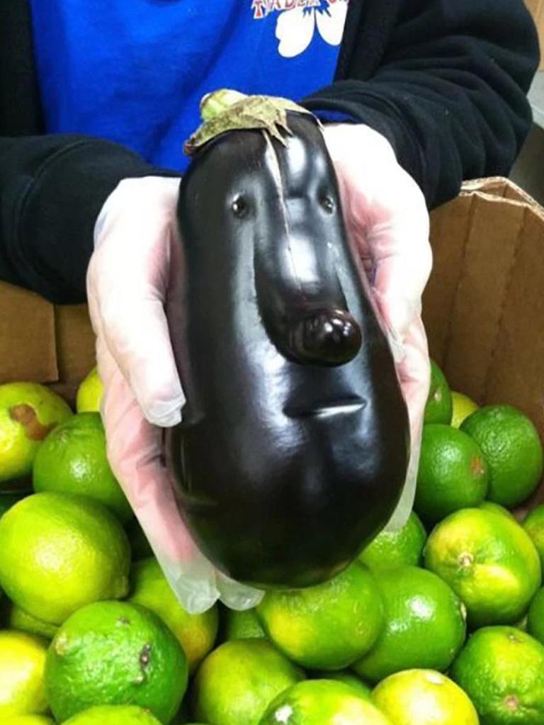 The award for the ugliest eggplant goes to ... this one. Picture: splitpics.uk