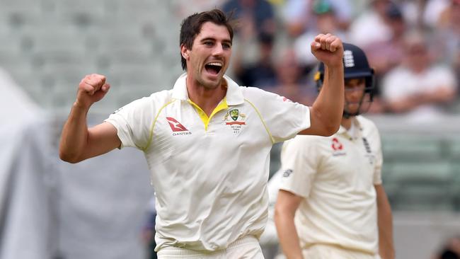 Pat Cummins celebrates one of his 15 wickets of the series.