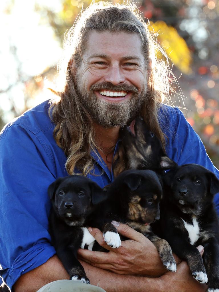 Farmer Dave Graham with three Kelpie puppies. Picture: Jonathan Ng