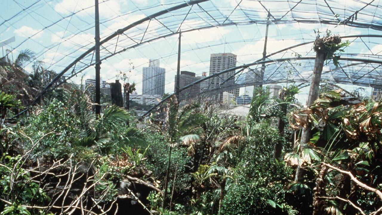 Tourists enjoy atmosphere at the Gondwana Rainforest Sanctuary at Brisbane's South Bank. Queensland / Cities Travel