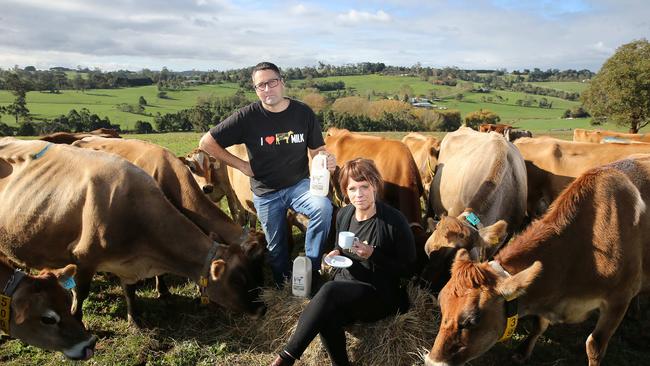 Sallie Jones and Steve Ronalds with some of the Gippsland Jersey cows. Picture: Yuri Kouzmin