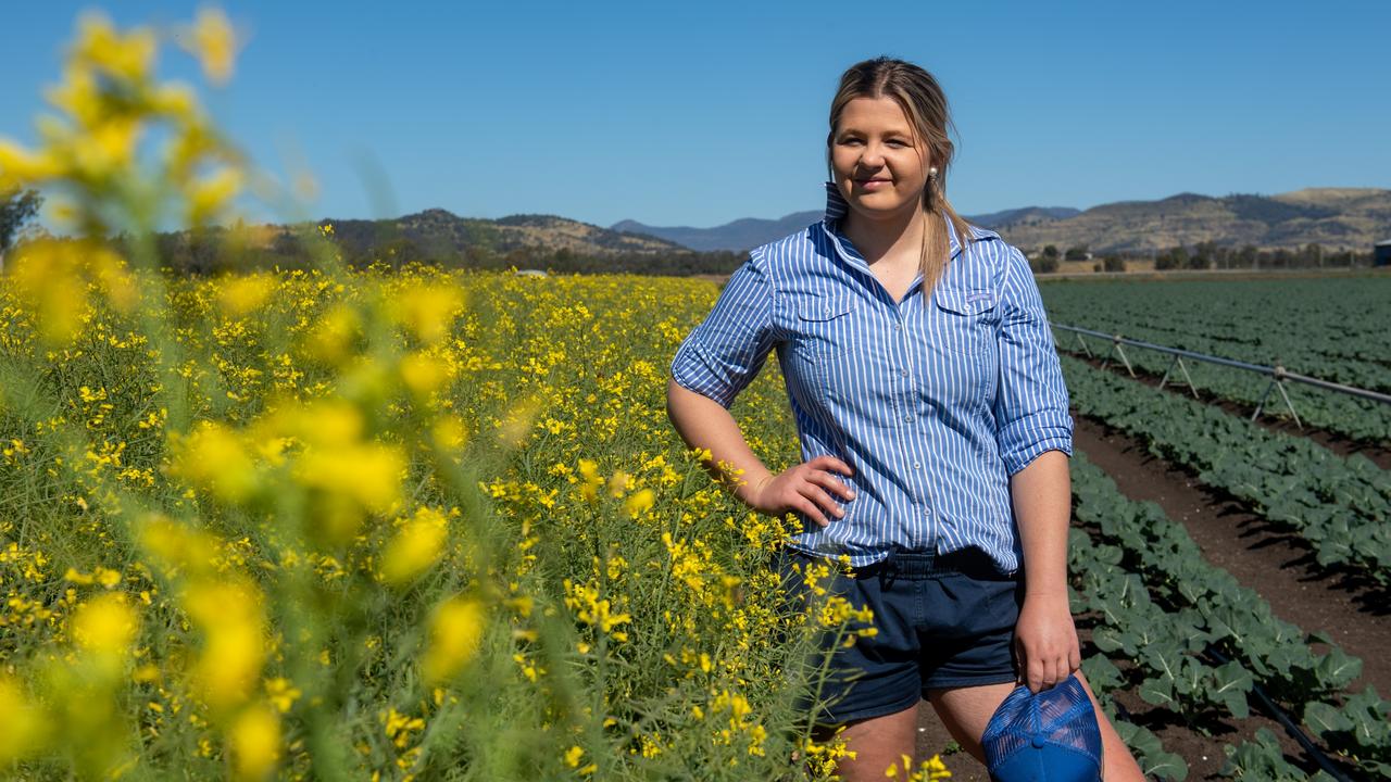 Lockyer Valley farmers look to low-labour crops during worker drought | The  Courier Mail