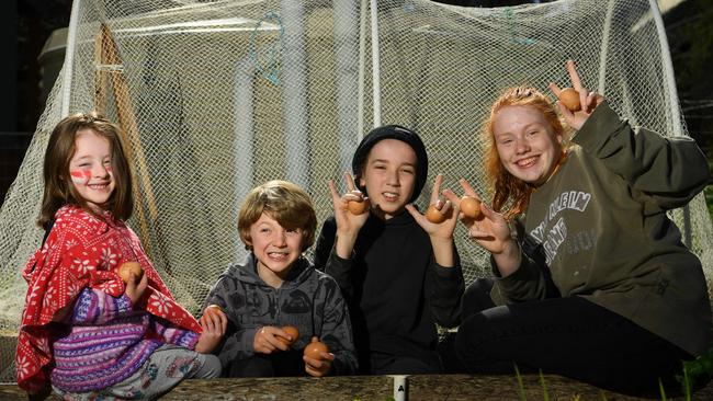 Christmas Hills Primary School students Hazel, Jude, Kael and Emily are benefiting from the school’s small size. Picture: James Ross