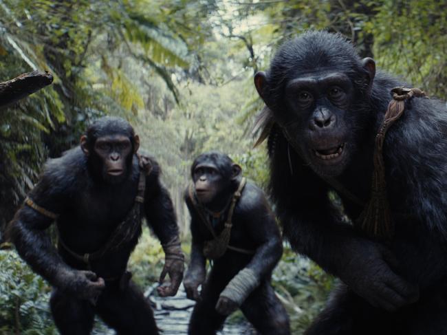 (L-R): Noa (played by Owen Teague), Soona (played by Lydia Peckham), and Anaya (played by Travis Jeffery) in 20th Century Studios' KINGDOM OF THE PLANET OF THE APES. Photo courtesy of 20th Century Studios. Ã‚Â© 2024 20th Century Studios. All Rights Reserved.