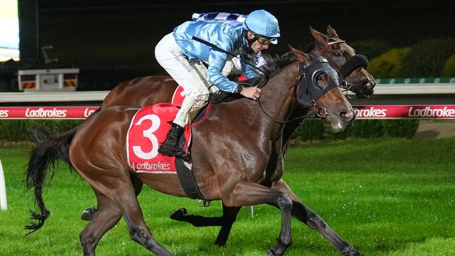 Let'sbefrankbaby should enjoy stepping up to 2400m when she heads to Caulfield on Saturday. Picture: Racing Photos via Getty Images.