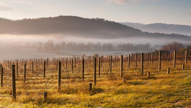 27/71Yarra Valley - Victoria
Not just for grape lovers. The Yarra Valley is just an hour's drive north-east out of Melbourne and has waterfalls, mountain ash forests in the Dandenong Ranges National Park, wildlife and countless vineyards.
See also: 20 best weekend breaks from Melbourne