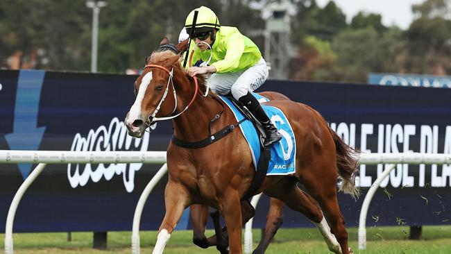 Zac Lloyd guides Makarena to victory in the Group 2 Golden Pendant at Rosehill. Picture: Getty Images