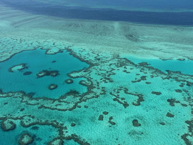 Coal mining in the Galilee Basin would put the Great Barrier Reef at risk, activists say. Picture: AFP/Sarah Lai