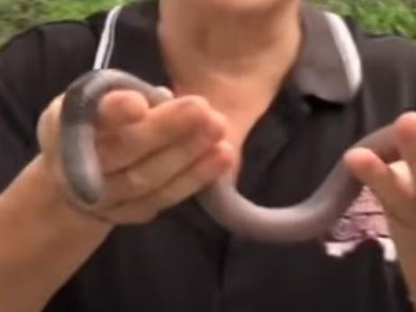 Darren Jack with the giant earthworm in a still from a video. Picture: Tall Trees Motel/Facebook