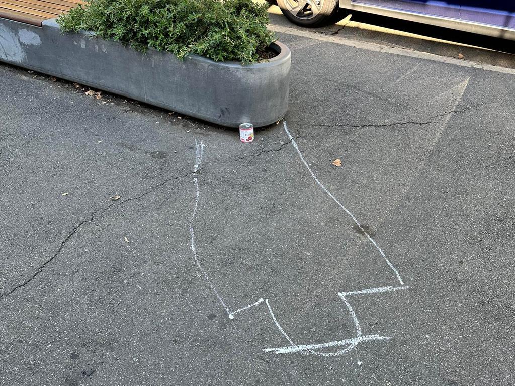 Canberra locals draw outline of deputy-PM Barnaby Joyce after video ...