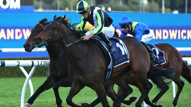 Tazaral can chalk up his biggest Australian win in the Festival Stakes. Picture: Jeremy Ng-Getty Images